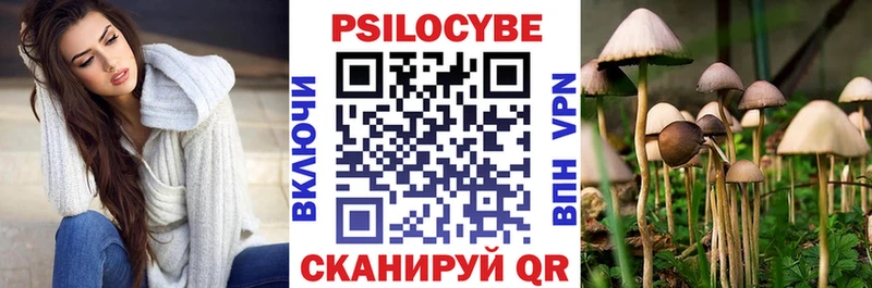 shop Telegram Вичуга Псилоцибиновые грибы Cubensis где продают