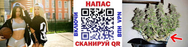 Конопля планчик  где купить   Вичуга 